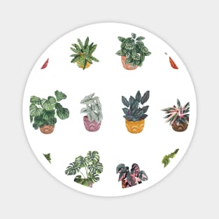 House  Plants illustration 2 Magnet